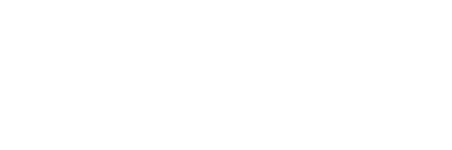 ValvePro Logo